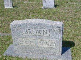 David J. Brown David J. Brown