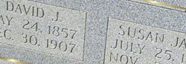 David J. Brown David J. Brown