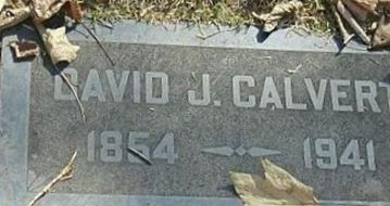 David J Calvert David J Calvert