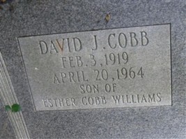 David J Cobb