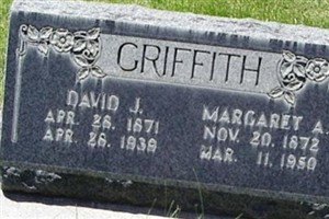 David J Griffiths David J Griffiths