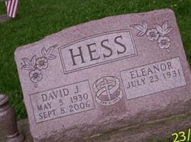 David J Hess