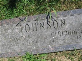 David J. Johnson (1880785.jpg)