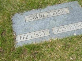 David J Kerr