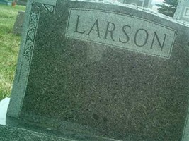 David J. Larson