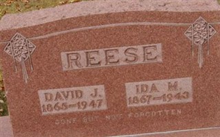 David J Reese David J Reese