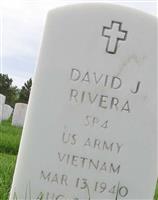 David J Rivera