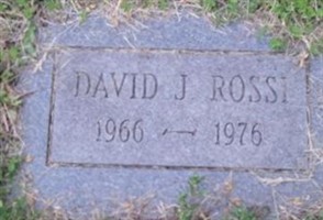David J. Rossi David J. Rossi
