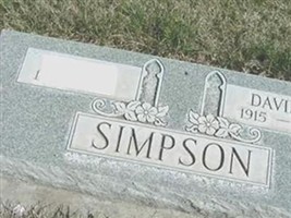 David J. Simpson David J. Simpson