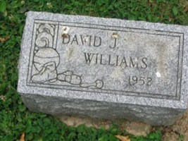 David J. Williams David J. Williams