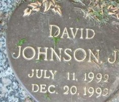 David Johnson, Jr