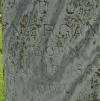David Jonah Morgan David Jonah Morgan