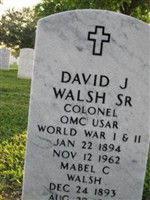 David Joseph Walsh, Sr David Joseph Walsh, Sr