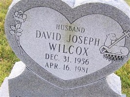 David Joseph Wilcox David Joseph Wilcox