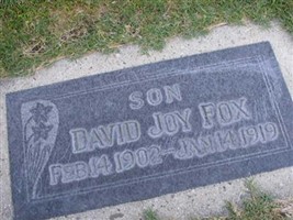 David Joy Fox David Joy Fox