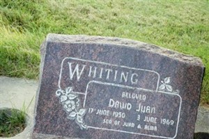 David Juan Whiting David Juan Whiting
