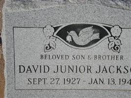 David Junior Jackson
