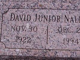 David Junior Nalle