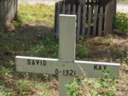 David Kay