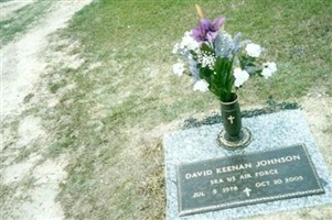 David Keenan Johnson