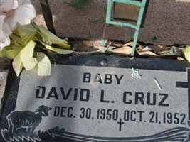 David L Cruz David L Cruz