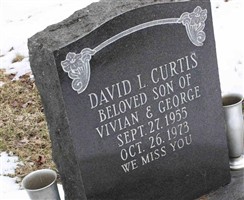 David L Curtis David L Curtis