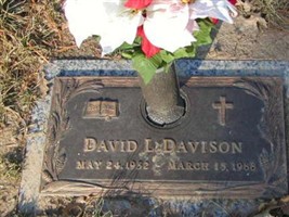 David L. Davison David L. Davison