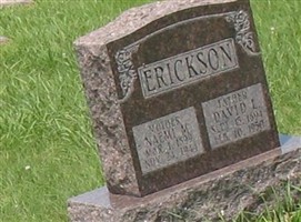 David L Erickson