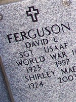 David L Ferguson David L Ferguson