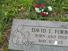 David L Forbis David L Forbis