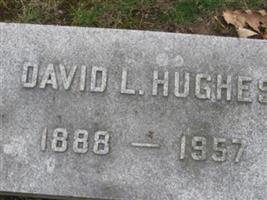 David L Hughes
