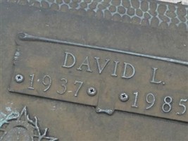 David L Ingram David L Ingram