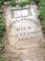 David L. Johnson (2244380.jpg)