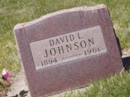 David L. Johnson
