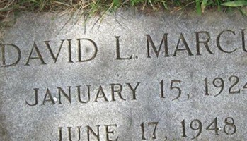 David L. Marcus David L. Marcus