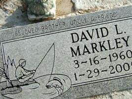 David L Markley