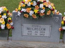 David L McGregor David L McGregor