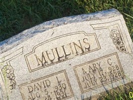 David L. Mullins