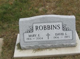 David L Robbins David L Robbins