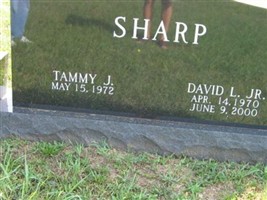 David L Sharp, Jr David L Sharp, Jr
