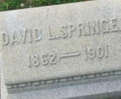 David L. Springer David L. Springer