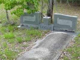 David L. Taylor