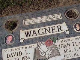 David L Wagner David L Wagner