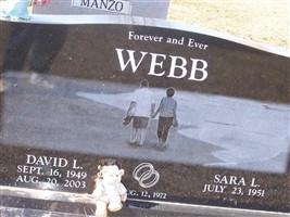 David L Webb David L Webb