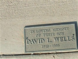 David L Wells