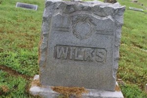 David L Wilks