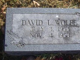 David L. Wolfe David L. Wolfe
