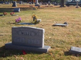 David L. Wolfe David L. Wolfe