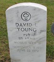 David L Young