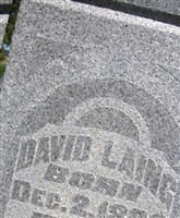 David Laing David Laing